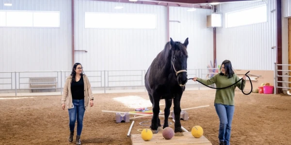 Rawhide Youth Services